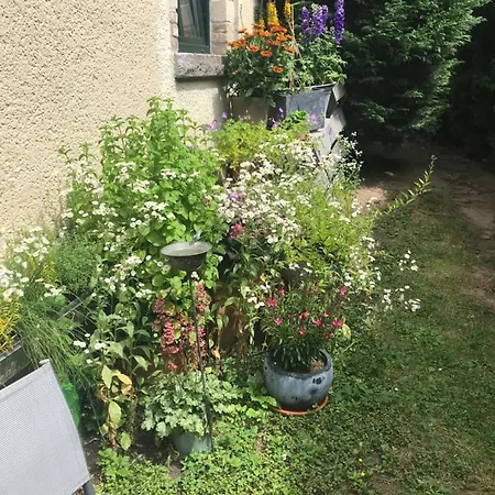 Boutique Benz 2 Lejlighed