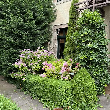 Lejlighed Boutique Benz 2