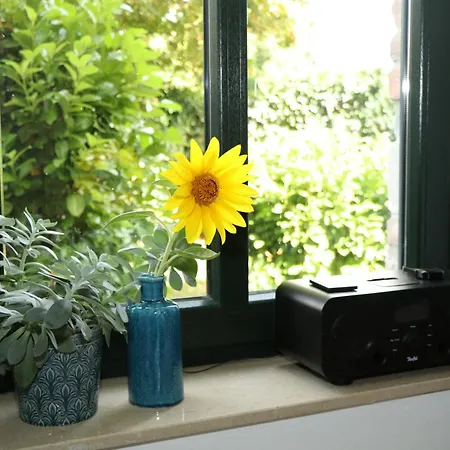 Boutique Benz 2 Bergisch Gladbach